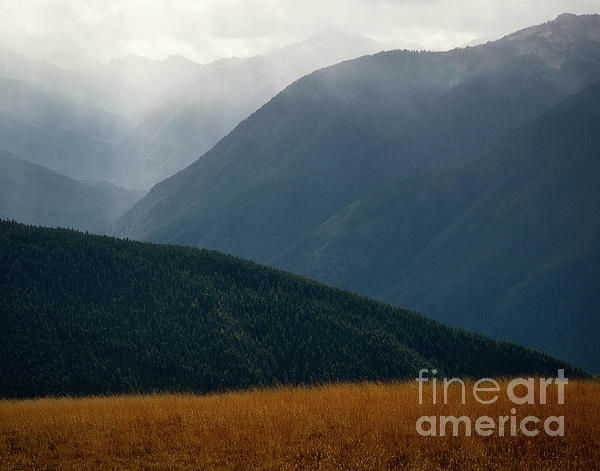 Foggy morning along Hurricane Ridge by Izet Kapetanovic Foggy morning along Hurricane Ridge by Izet Kapetanovic